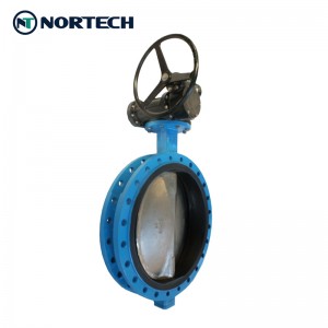 U Sashe na Butterfly Valve 2